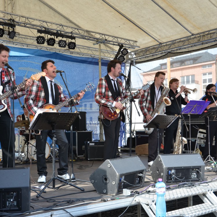 SHOWER OLDIES REVIVAL BAND